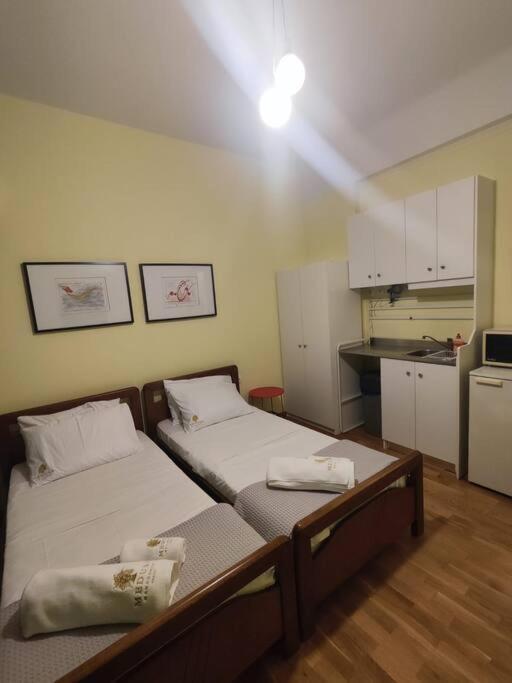 Syntagma Apartment C1 Atina Dış mekan fotoğraf